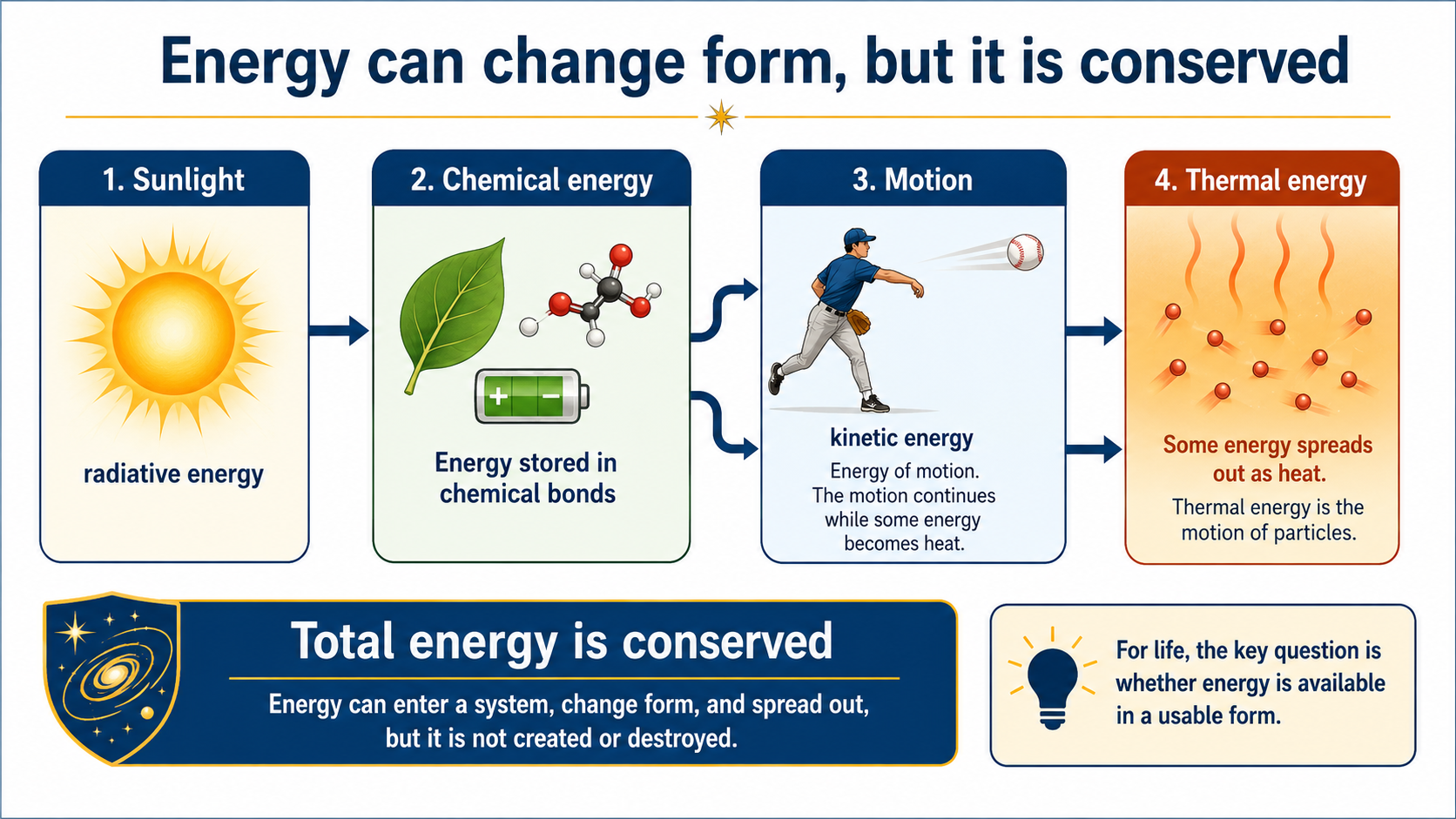 Course-created schematic showing energy changing form from sunlight to chemical energy, motion, and thermal energy while total energy is conserved.