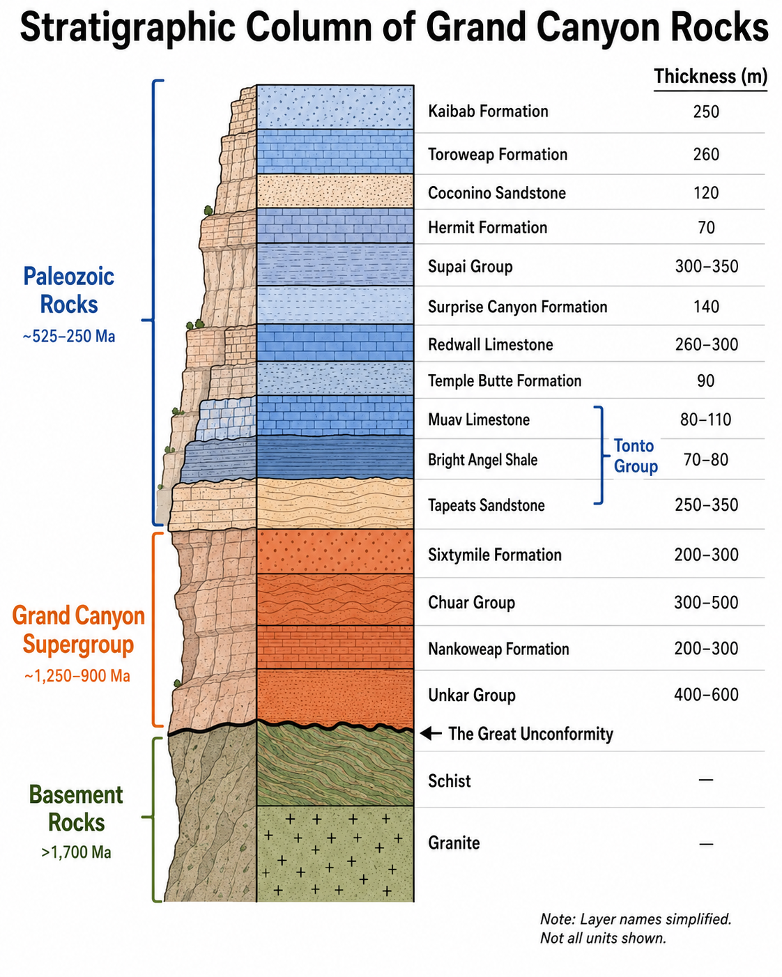 Simplified stratigraphic column of Grand Canyon rocks showing Paleozoic rocks, Grand Canyon Supergroup, basement rocks, layer names, thicknesses, and the Great Unconformity.