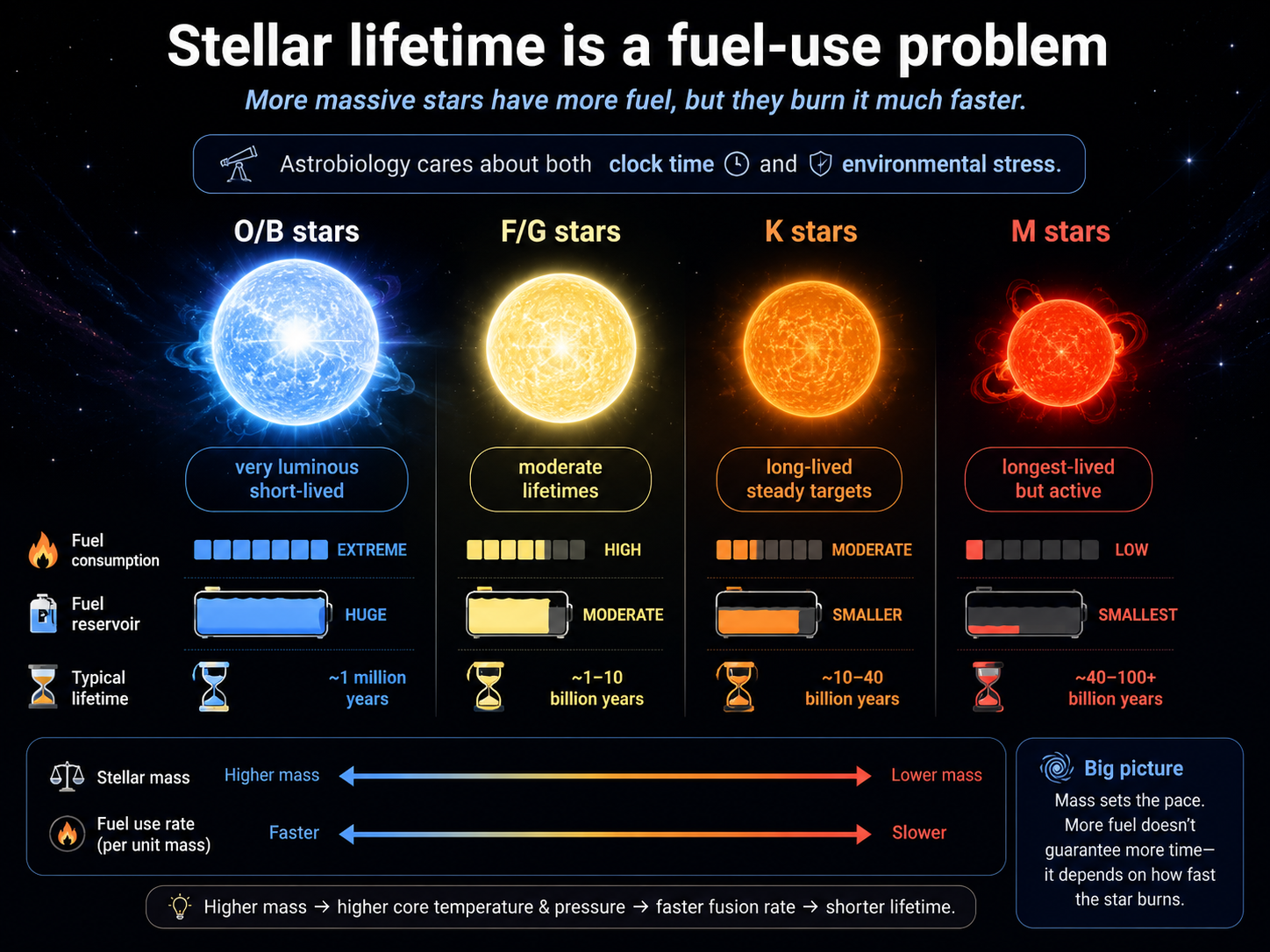 Infographic comparing O/B, F/G, K, and M stars as a fuel-use problem, showing that high-mass stars burn fuel rapidly and have short lifetimes while low-mass stars burn slowly and last much longer.